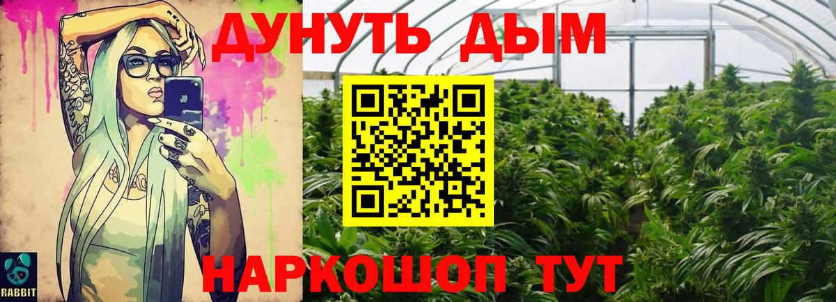 Конопля план  Канабис план  Вход с VPN  Первоуральск  МАРИХУАНА сатива 